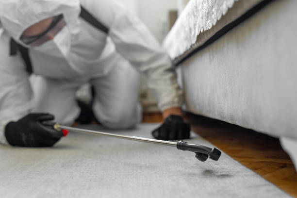 Professional Cockroach Control technician working in Rutherford County County, NC